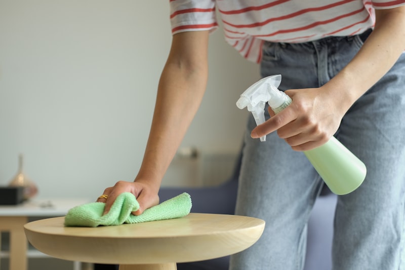 Deep cleaning service with attention to detail